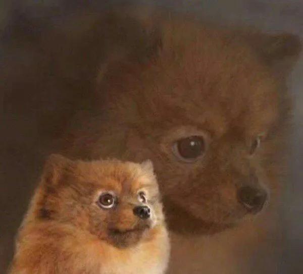 沙雕是什么意思，网络沙雕是什么意思（另一层意思你懂了吗）