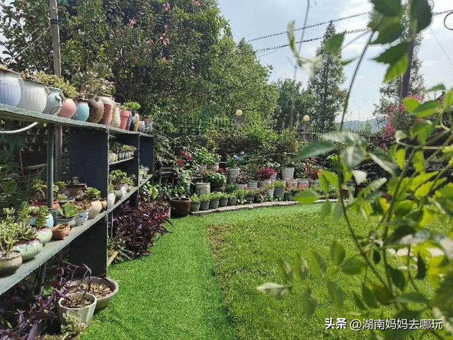 长沙自驾游攻略，长沙旅游攻略最佳路线推荐自驾游（藏在长沙近郊的“大观园”）