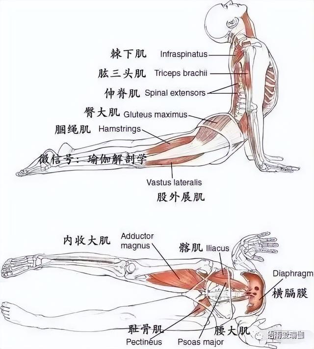 有种变化叫鼻子变了，萧亚轩近照像“格格巫”，网友直呼认不出