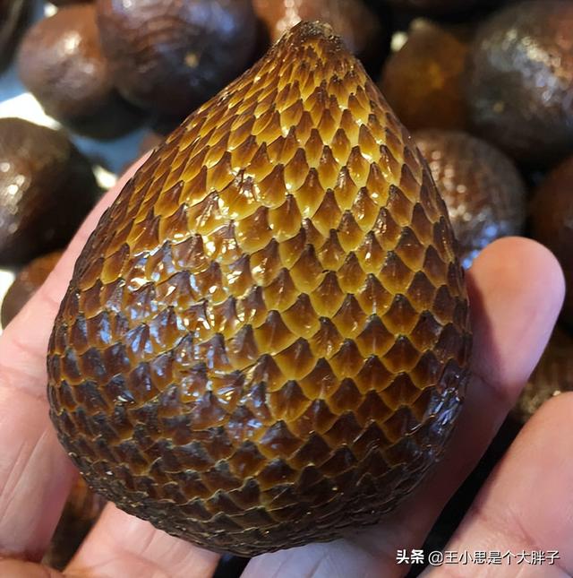 世界上最恐怖的水果，世界上最恐怖的水果图片（名字太“奇特”）