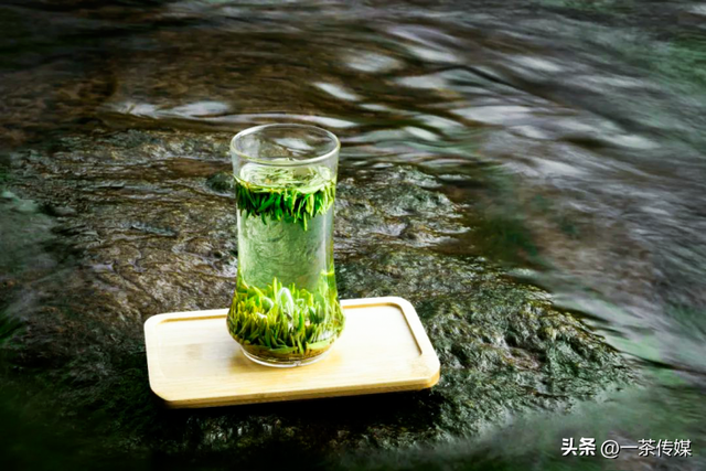 峨眉山竹叶青，竹叶青是如何弯道超车的