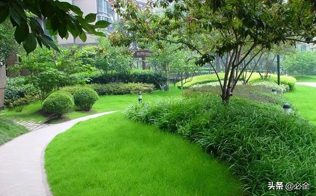 常见的常绿树和落叶树有哪些，南北方小区绿化常用苗木有哪些