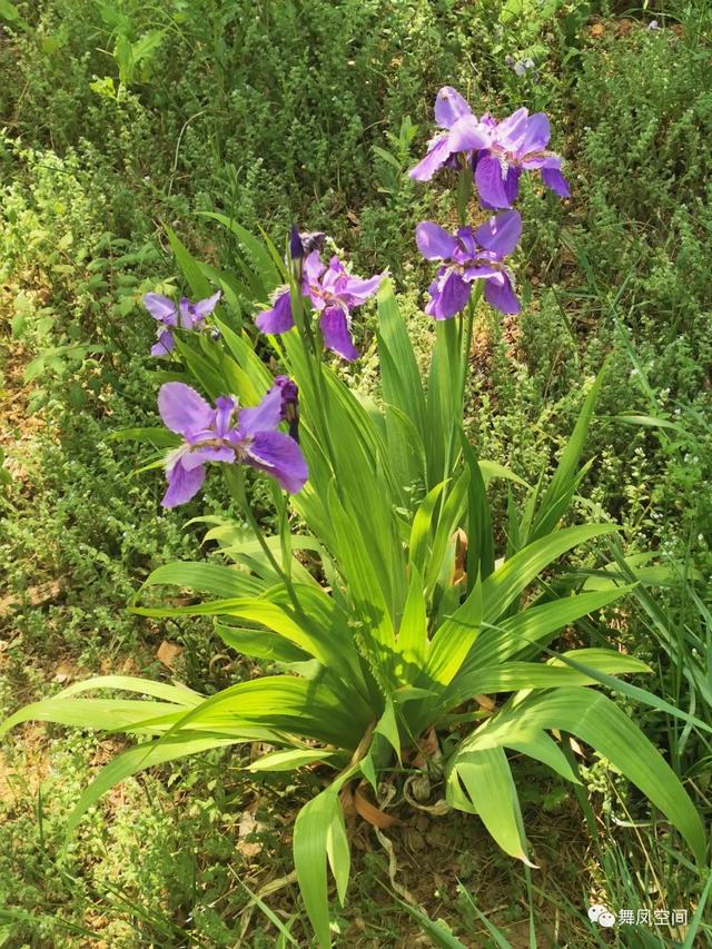 北京西山森林公园，北京西山森林公园登山路线推荐（西山国家森林公园）