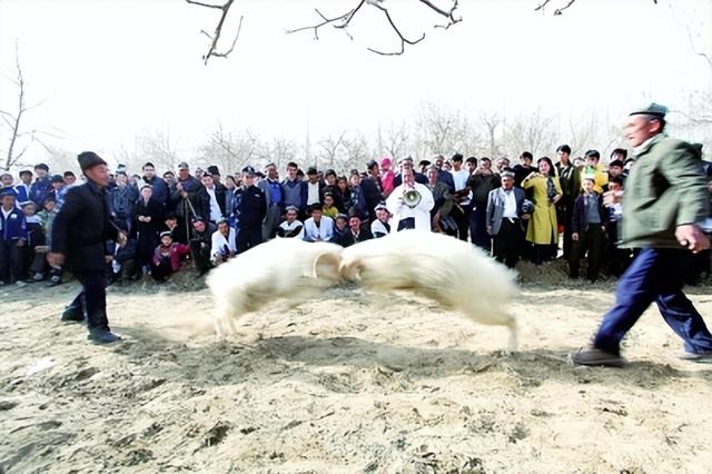 肉孜节和古尔邦节，肉孜节和古尔邦节的来历（新疆维吾尔族主要的传统节日）
