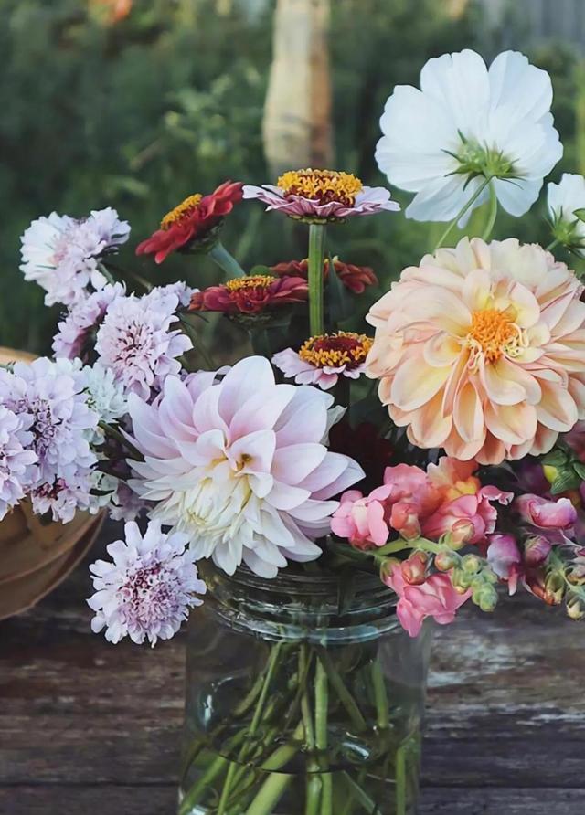 时间煮雨是什么意思，煮雨是什么意思（唯美文艺浪漫诗句）