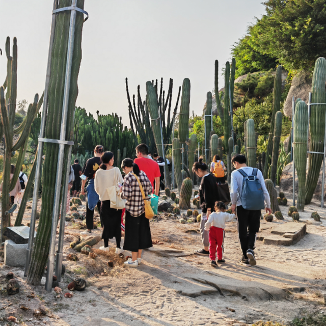 厦门十大家庭游好去处是什么，厦门家庭游攻略（10座公园让大人和小孩都可以愉快地玩耍）