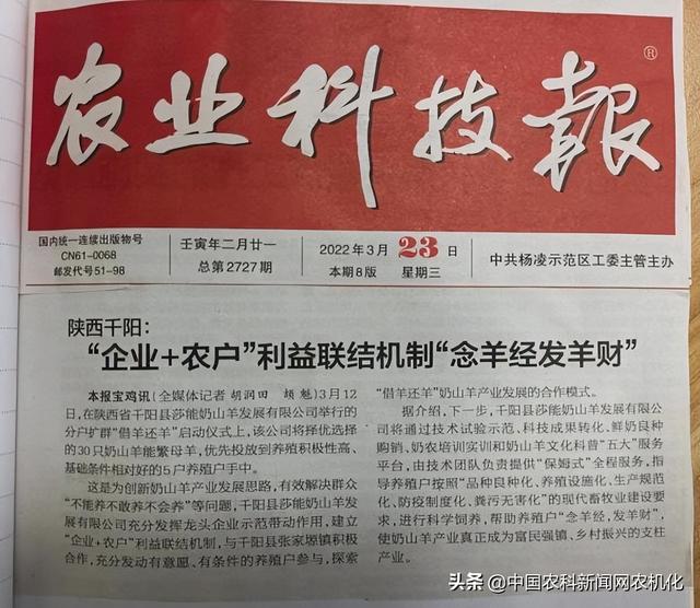 羊奶粉哪个好，羊奶粉哪个好吸收（千阳县莎能奶山羊“借羊还羊”模式带动产业发展）