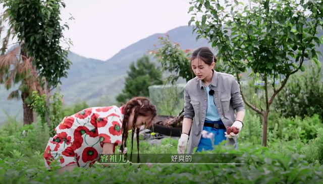 向往的生活什么时候更新，向往的生活周几几点播（我要吹爆芒果这档实验生活综艺）