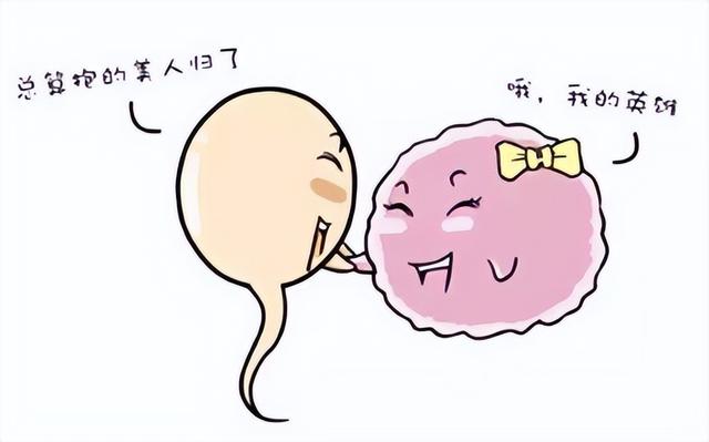 女人什么时候是安全期，女人什么时候是安全期,女人五十以后怀孕的几率是多少（女生前7后8安全期是啥意思）