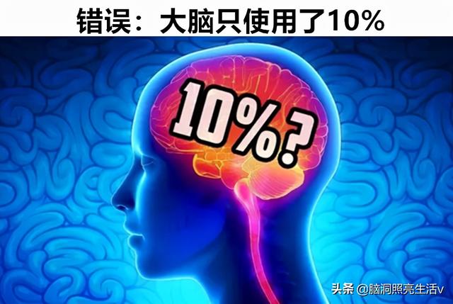 老鼠最怕的声音，老鼠怕什么声音（但却并非事实真相的知识）