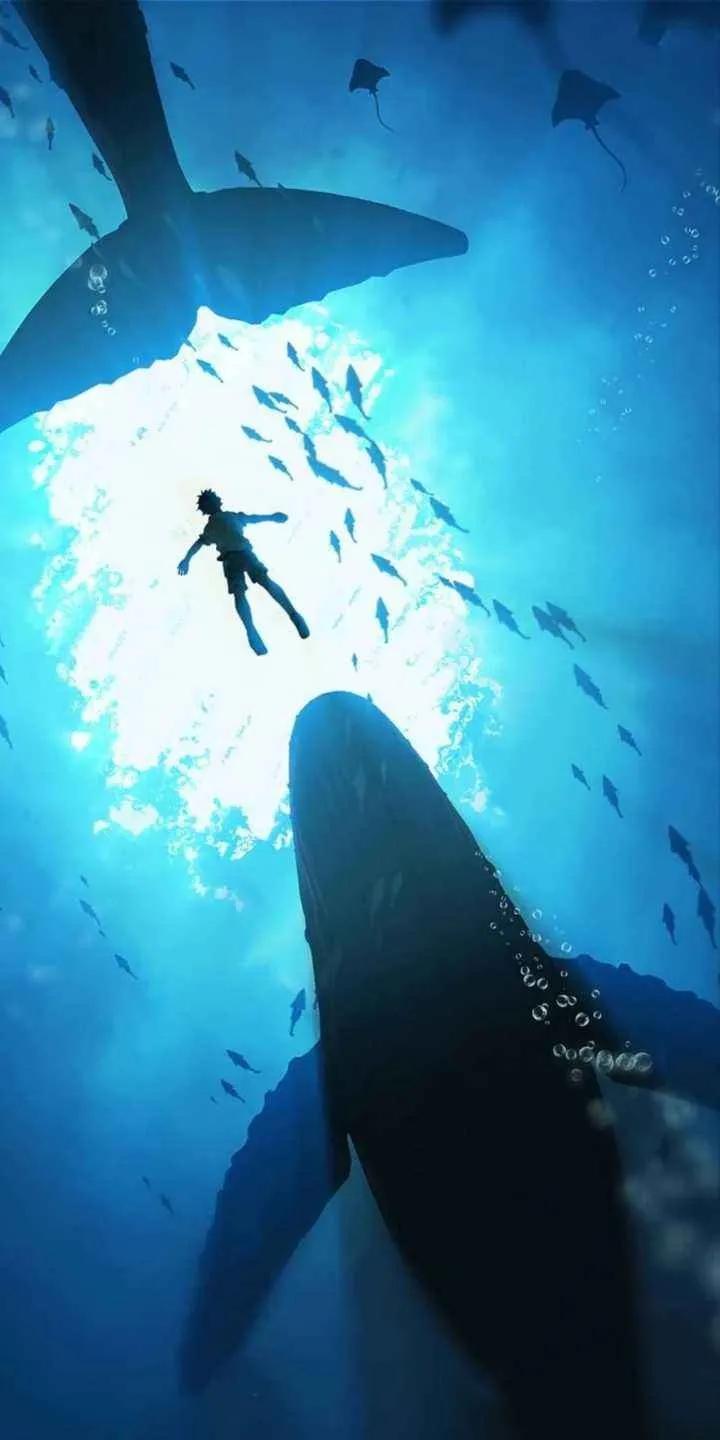 座头鲸之歌：深海巨影吟唱当代诗篇，浪涌间回荡自然与灵魂的共鸣