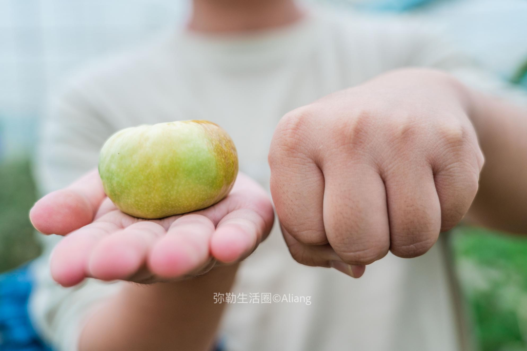 庆来学校（云南极不出名的小镇）