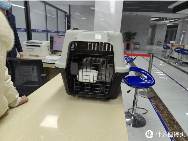 飞机托运收费多少钱一斤，飞机托运收费多少钱一斤2021（可能是全网最全的宠物航空托运攻略）