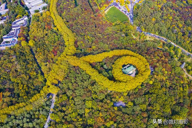 中国最具幸福感城市，最具幸福感城市排行榜（中国“最具幸福感”的五座城市）