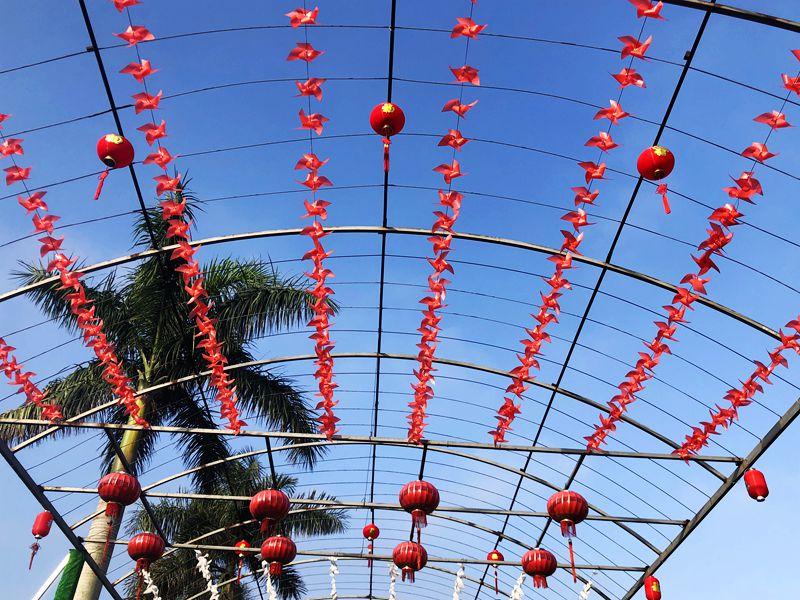 麒麟花的寓意是什么，客厅摆放麒麟的图片（海南迎春花市年味渐浓）