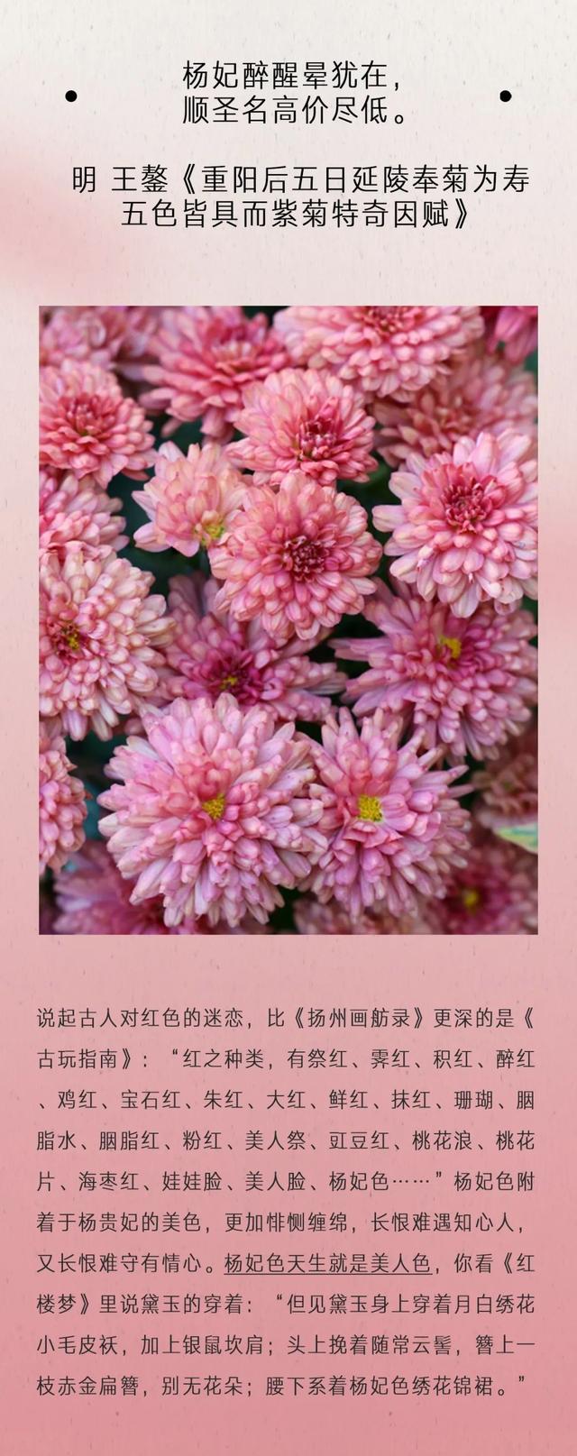 中国传统颜色名称，12个中国传统颜色名字（赵丽颖唱的42个传统色原来这么美）