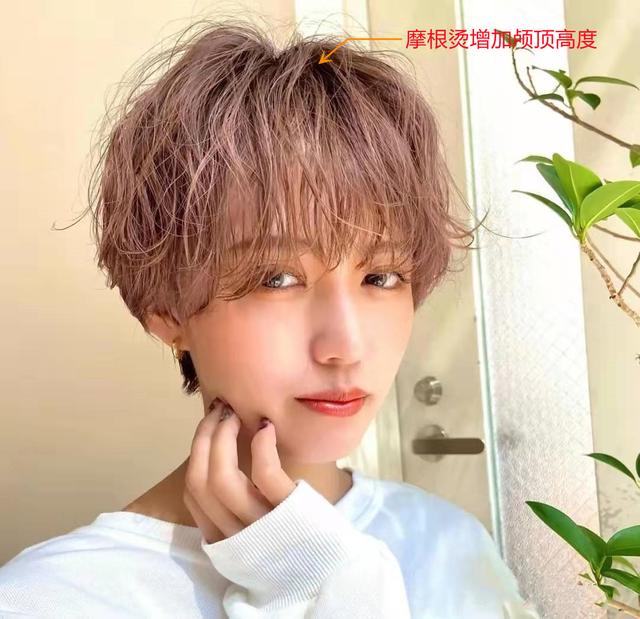 适合自然卷女生的短发，适合自然卷女生的短发图片（短发别再烫“满头卷”了）