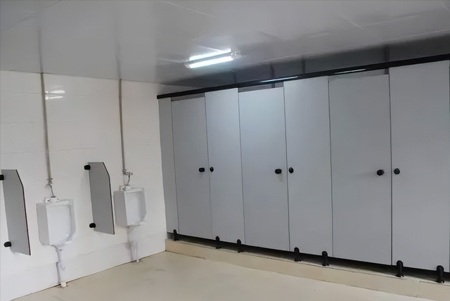 十大惊人奇闻怪事，十大奇闻趣事