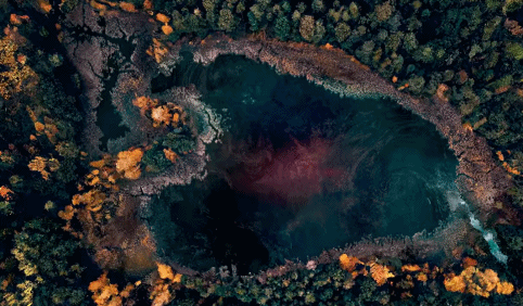 左耳电影剧情介绍，电影左耳剧情介绍（满屏都是“情欲”的撩拨）