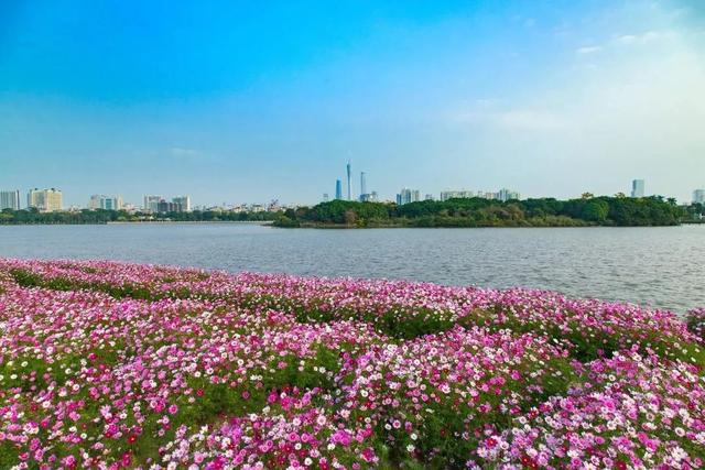 广州羊城十大公园，广州公园排行榜广州10大必玩公园