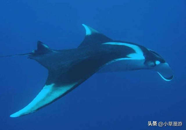 有海的地方哪个比较适合旅游，海边去哪里旅游最好（海岛旅行度假首选）