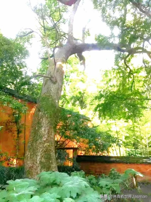 浙江天台山的国清寺，最具禅意的千年古刹