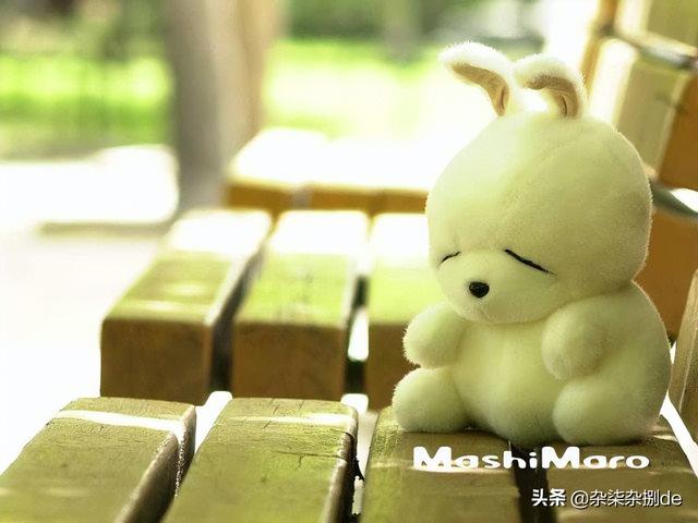 可爱卡通图片 快来把你的小可爱领回家，可爱卡通图片（分享一组可爱的卡通壁纸图片）