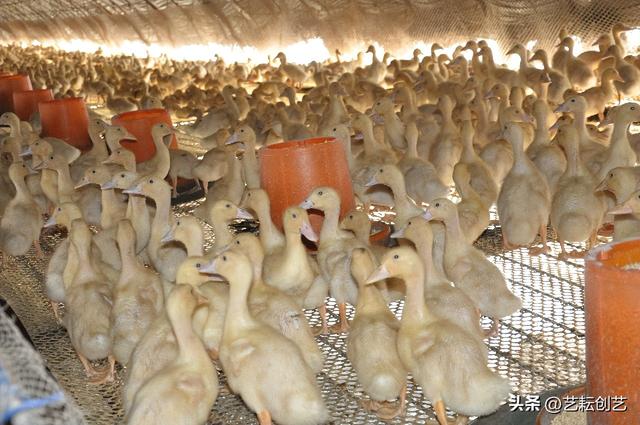 辽宁省有哪些市，锦州附近都有哪些城市（全国地理标志农产品目录系列之辽宁省——）