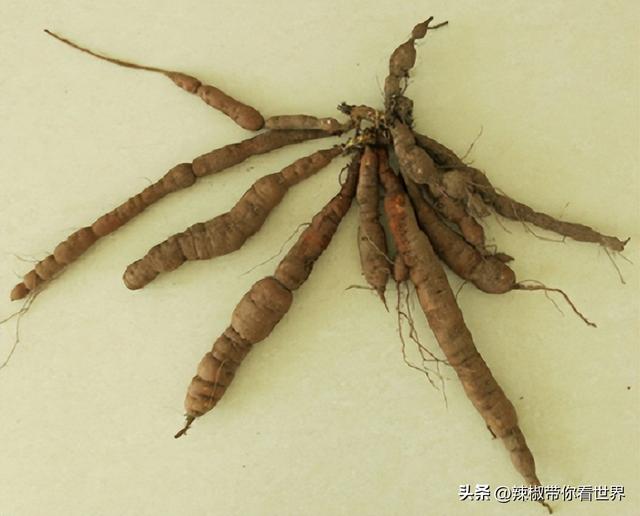 盐城特产介绍，盐城特产（大自然寂静之美造就这里的特色美食）