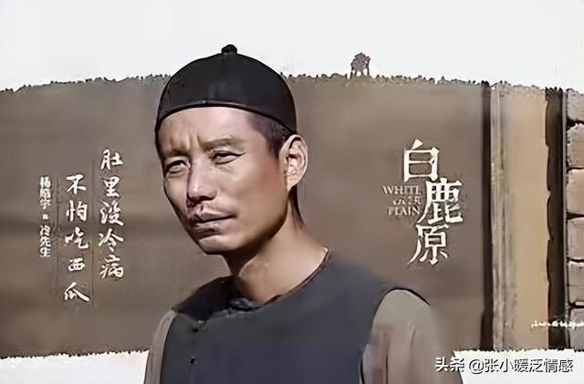 白鹿原白灵最后结局，白鹿原白灵和兆鹏结局是什么（白灵执意要和鹿兆鹏同房）