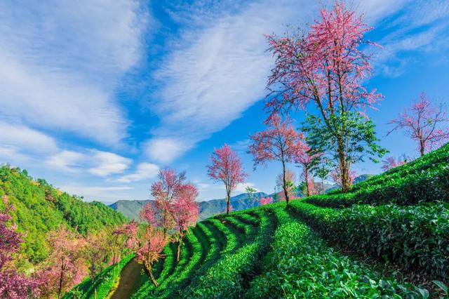10种代表秋天的景物，秋天的景色有哪些（这10个小众绝美的秋景地）