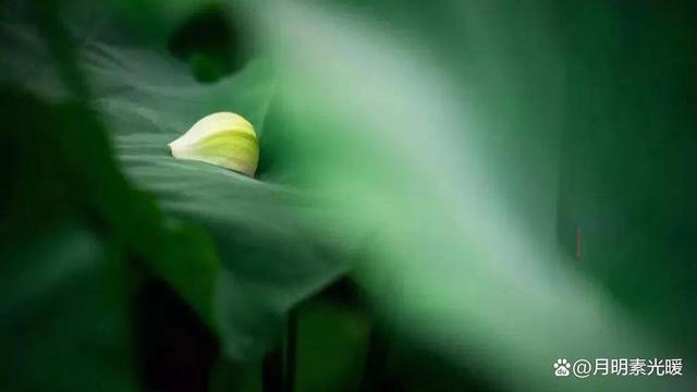 外汇理财产品怎么买，外汇理财产品怎么买卖（外汇的投资方法有哪些）