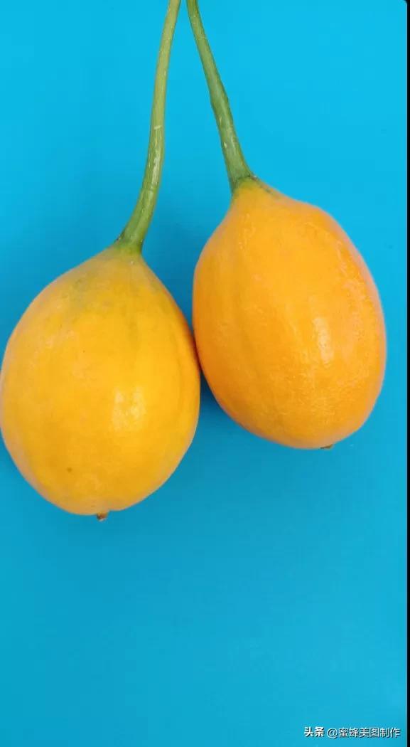 四个季节各有什么水果和蔬菜，四个季节各有什么水果和蔬菜和水果（60张水果蔬菜壁纸美图）