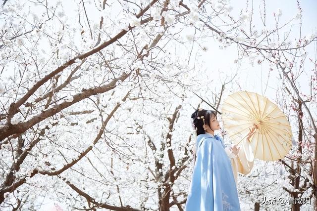 咸阳春天旅游景点大全，一天清明假期，去哪游玩