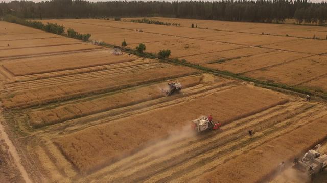 新疆面积和人口，新疆面积和人口数量（时政微视频丨瞰新疆）