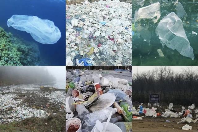 蜜蜂从地球上消失了会怎样，如果蜜蜂从地球上消失,人类将只能再存活四年（没有想法时，怎样突破重围的）