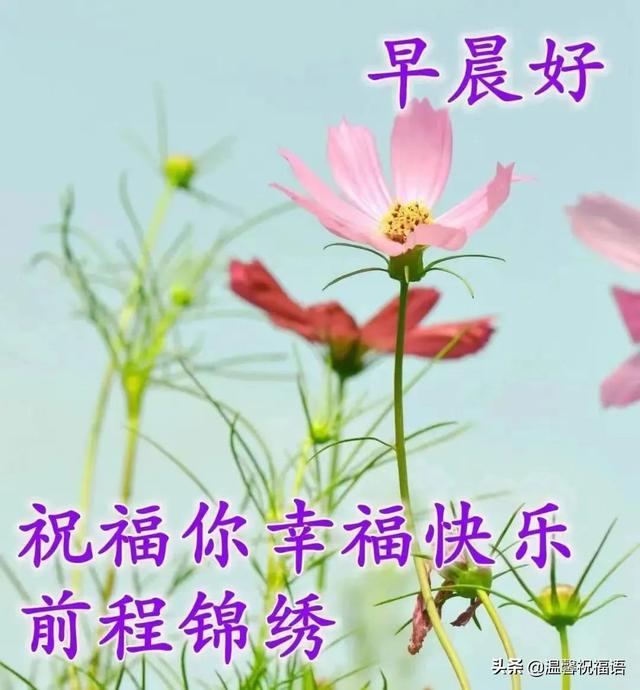 早上好的问候美句，关于早上好的问候美句有哪些（6月20日今生有缘）