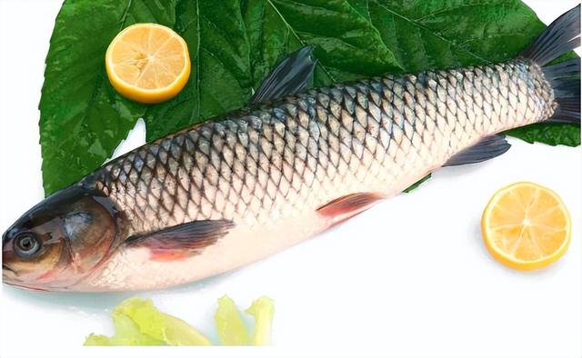 鱼的种类名称，海鱼的品种大全及名字（大厨：就吃这6样）