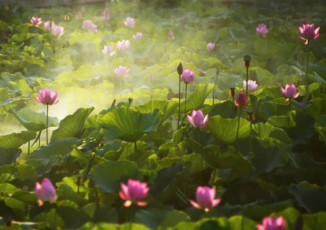七八月份最适合旅游的地方，7-8月最适合旅游的地方（探索天地间的五光十色）