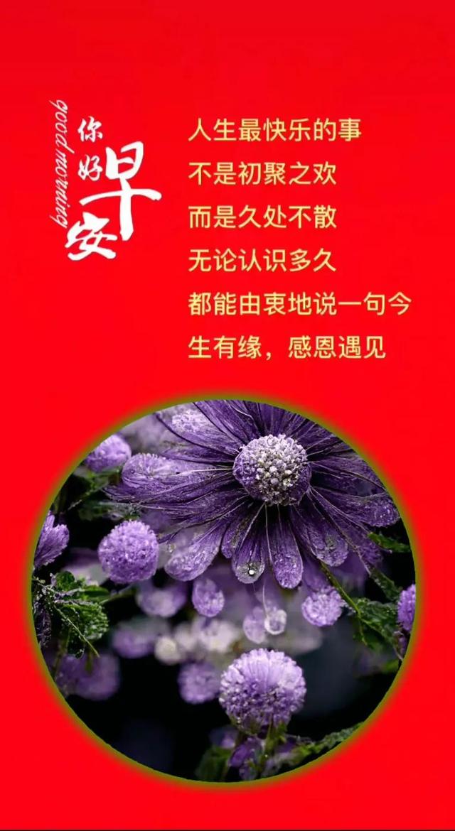 珍惜友情最感人的句子，珍惜友情最感人的句子图片带字（早上好～善待自己因为人生只有一次）