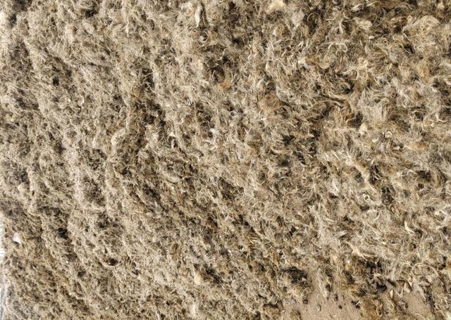 年轻人学什么技术赚钱，年轻人学什么技术赚钱快（普通人靠这2个行业也能日入1000）