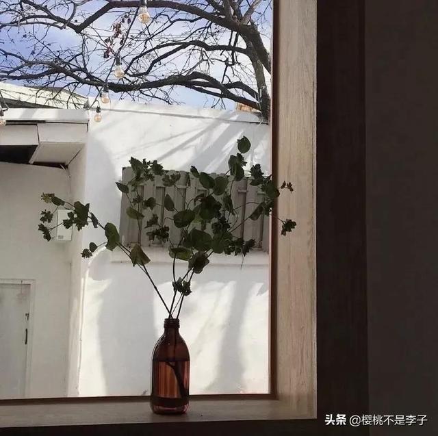 寄明月歌词，《赤伶》歌曲（20句唯美动人的优良古风文案）