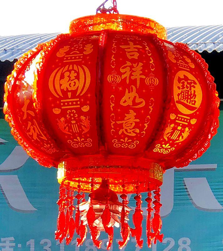 麒麟花的寓意是什么，客厅摆放麒麟的图片（海南迎春花市年味渐浓）