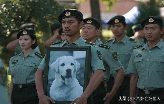 现代军旅电视剧大全集，军旅题材电视剧（《王牌部队》看不下去）