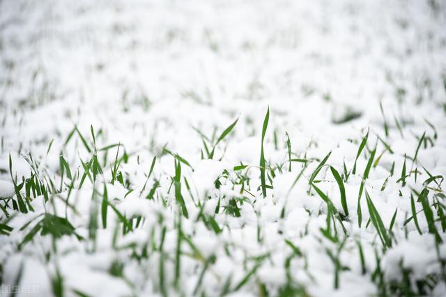 2021二伏天是几月几号，2021年二伏是哪天（元旦后或再迎新一轮冷空气）