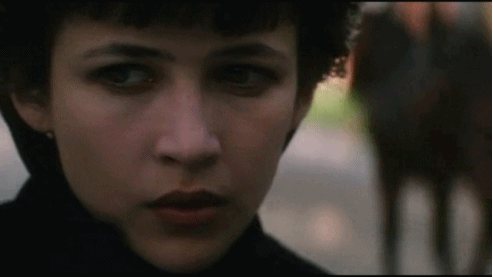 苏菲是什么，法国女人叫苏菲（苏菲是什么电视剧的女主角）