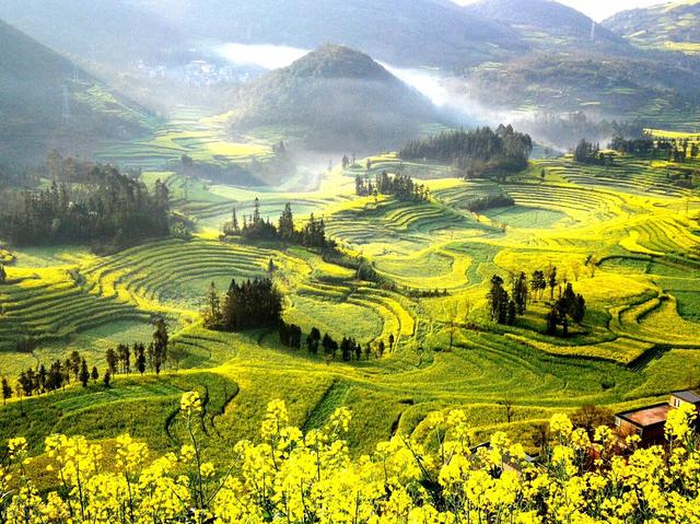 罗平旅游景点大全，曲靖罗平旅游景点大全（中国最美四季游之春季：罗平）