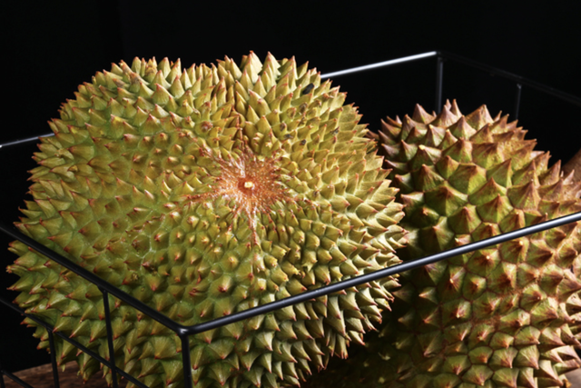榴莲的品种有几种，榴莲有几种几个品种（榴莲中的猫山王、金枕、托曼尼、黑刺分别指啥）