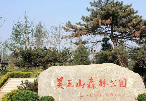 任氏是贵族吗，皇族最纯正的十个姓氏（奔吴之前的人生轨迹和事略探讨）