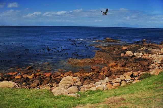 好望角在哪，青岛好望角在哪（为什么原来叫“风暴角”）